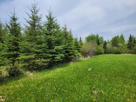 68401 County Road 547 Cook MN 55723