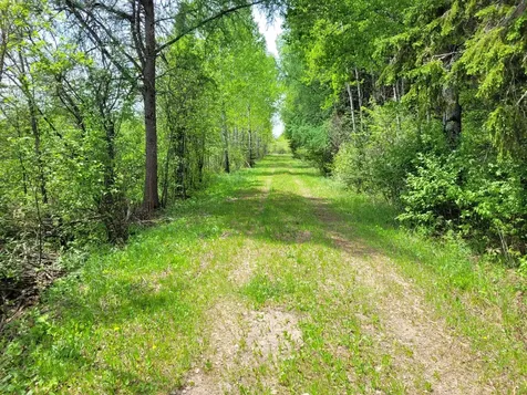 68401 County Road 547 Cook MN 55723