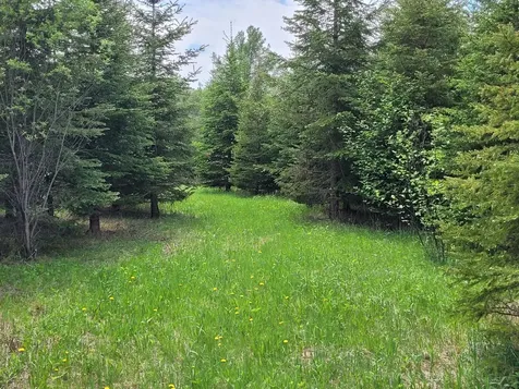 68401 County Road 547 Cook MN 55723