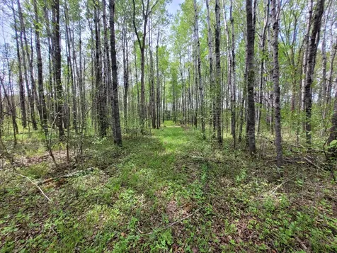68401 County Road 547 Cook MN 55723