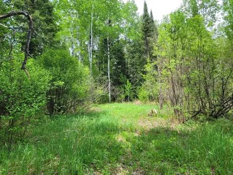 68401 County Road 547 Cook MN 55723