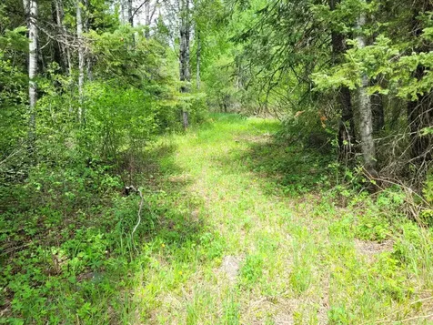 68401 County Road 547 Cook MN 55723