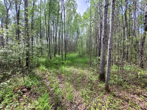 68401 County Road 547 Cook MN 55723