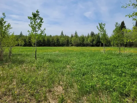 68401 County Road 547 Cook MN 55723