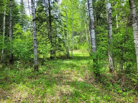 68401 County Road 547 Cook MN 55723