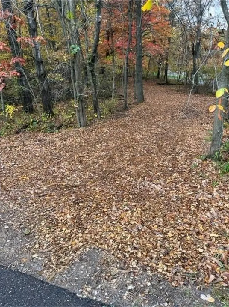 Lot 4 Tiger Street NW Princeton MN 55371
