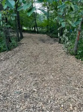 Lot 4 Tiger Street NW Princeton MN 55371