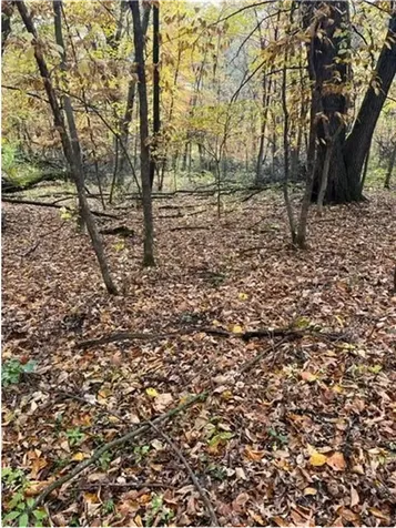 Lot 4 Tiger Street NW Princeton MN 55371