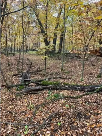 Lot 4 Tiger Street NW Princeton MN 55371