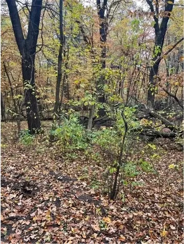 Lot 4 Tiger Street NW Princeton MN 55371