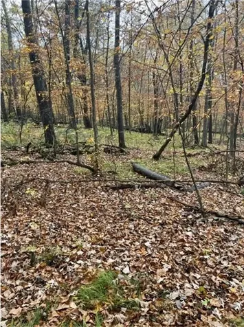 Lot 4 Tiger Street NW Princeton MN 55371
