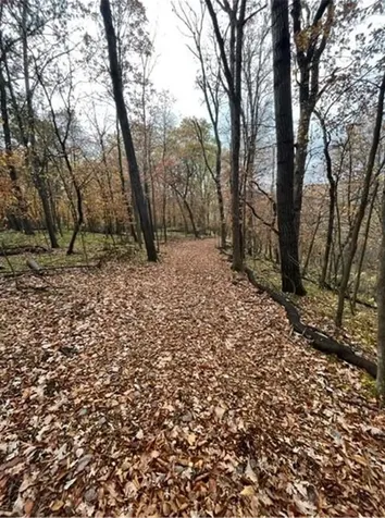 Lot 4 Tiger Street NW Princeton MN 55371