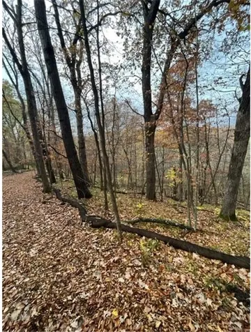 Lot 4 Tiger Street NW Princeton MN 55371