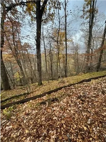 Lot 4 Tiger Street NW Princeton MN 55371