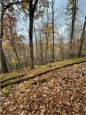 Lot 4 Tiger Street NW Princeton MN 55371