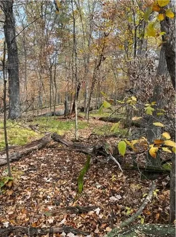 Lot 4 Tiger Street NW Princeton MN 55371