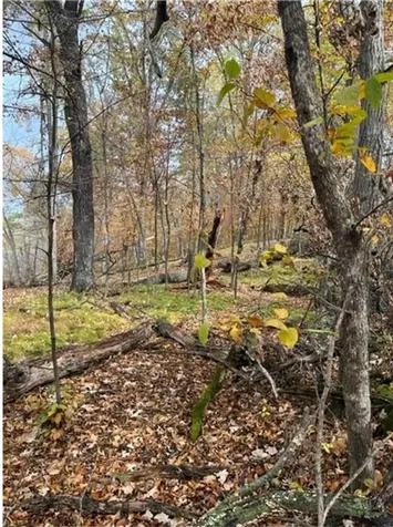 Lot 4 Tiger Street NW Princeton MN 55371