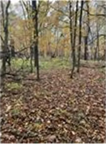 Lot 4 Tiger Street NW Princeton MN 55371