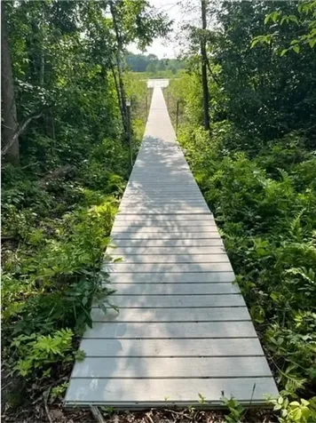 Lot 4 Tiger Street NW Princeton MN 55371