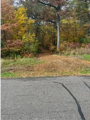 Lot 4 Tiger Street NW Princeton MN 55371