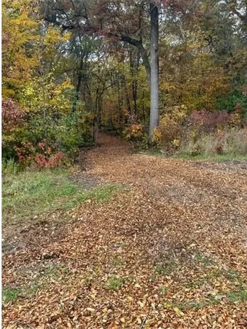 Lot 4 Tiger Street NW Princeton MN 55371