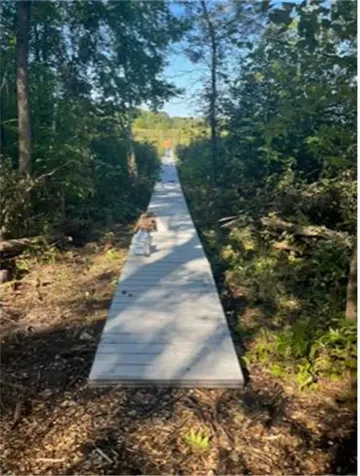 Lot 4 Tiger Street NW Princeton MN 55371