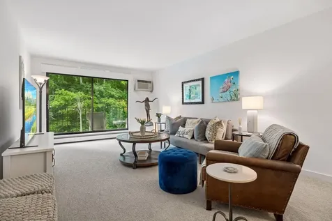 215 Barry Avenue S Wayzata MN 55391