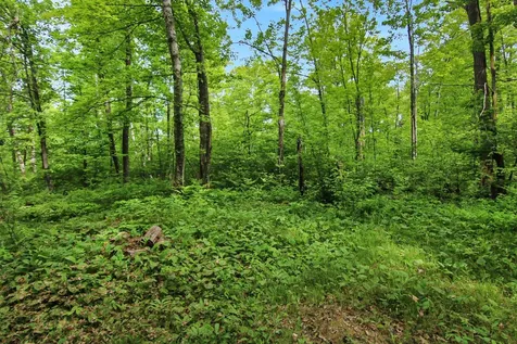 Tbd Crooked Lake Twp Outing MN 56662