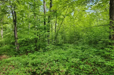 Tbd Crooked Lake Twp Outing MN 56662