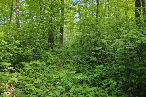 Tbd Crooked Lake Twp Outing MN 56662