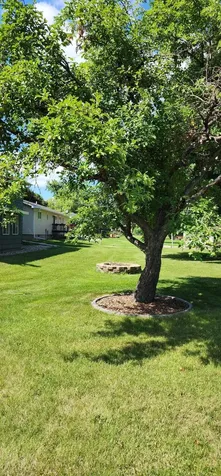 204 Wildwood Avenue Madison MN 56256