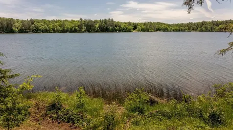 1090 Rainy Lake Drive NW Backus MN 56435