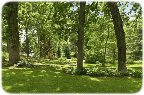 21527 Homestead Trail Corcoran MN 55340