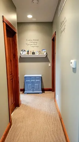 1646 Cherry Street E Mazeppa MN 55956