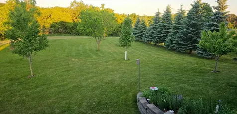 1646 Cherry Street E Mazeppa MN 55956