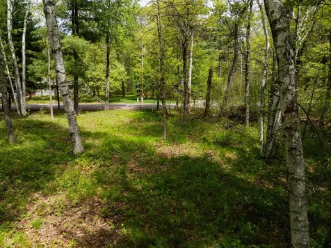 Tbd Poplar Avenue Nisswa MN 56468