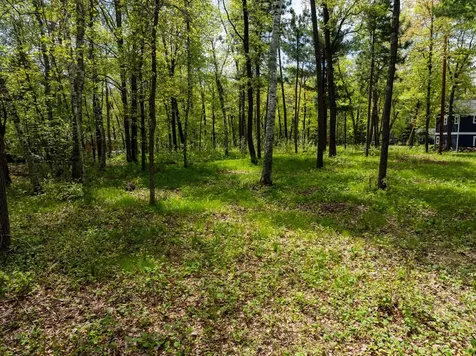 Tbd Poplar Avenue Nisswa MN 56468