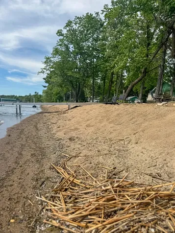 6327 Lavinia Road NE Bemidji MN 56601