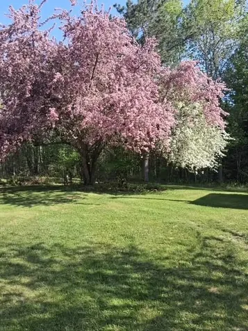 44813 275th Avenue Laporte MN 56461