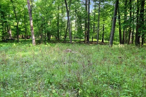 4294 Nod A Way Drive Nisswa MN 56468