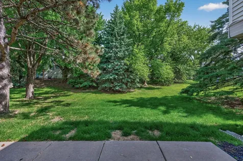 313 Elan Court Woodbury MN 55125
