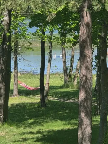 5325 Fernwood Trail North Branch MN 55056