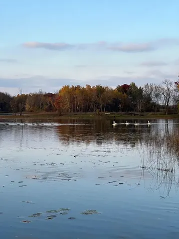 5325 Fernwood Trail North Branch MN 55056