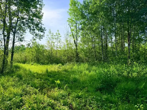 Tbd Highway 65 Isle MN 56342