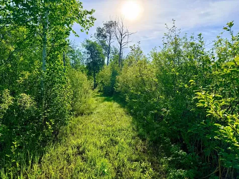 Tbd Highway 65 Isle MN 56342