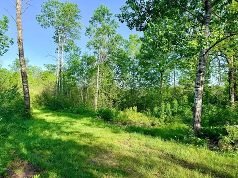Tbd Highway 65 Isle MN 56342