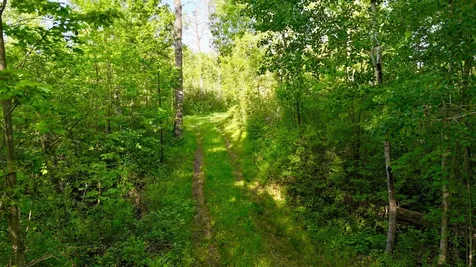 Tbd Highway 65 Isle MN 56342