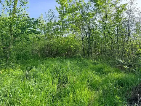 Tbd Highway 65 Isle MN 56342