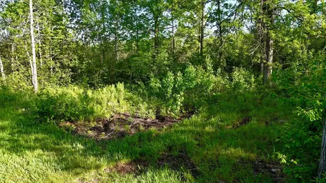 Tbd Highway 65 Isle MN 56342