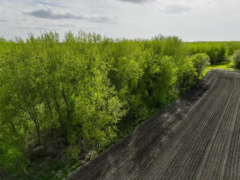 Tbd County Road 15 Montevideo MN 56265
